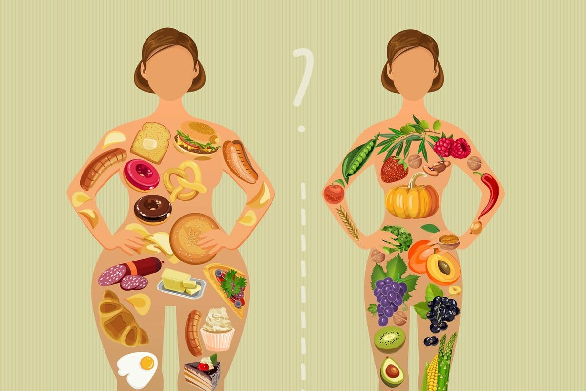 Что такое метаболизм? Как он помогает похудеть? | Еда и наука | Яндекс Дзен